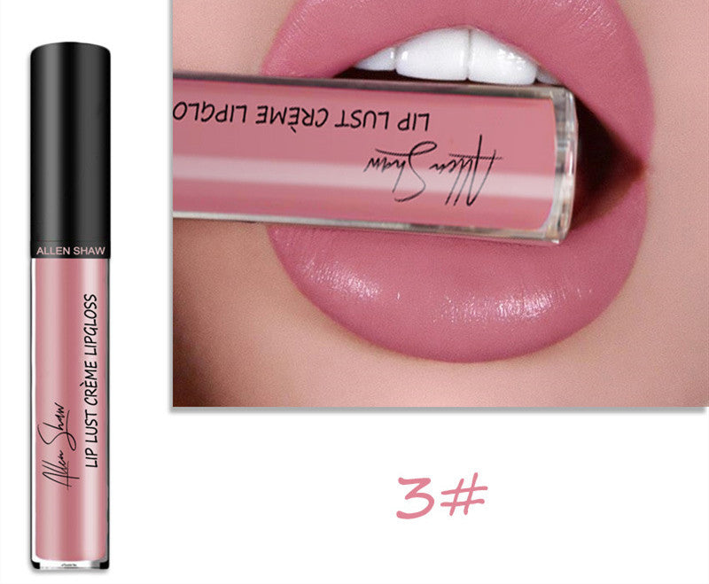 Silky Cream Texture Lip Gloss Aliexpress Shopee Cross-Border Exclusive Lip Glaze Lip Gloss Lipstick - Skin Deep Secrets 