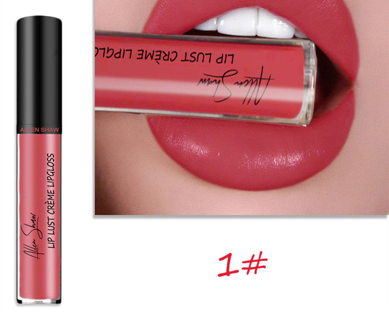 Silky Cream Texture Lip Gloss Aliexpress Shopee Cross-Border Exclusive Lip Glaze Lip Gloss Lipstick - Skin Deep Secrets 