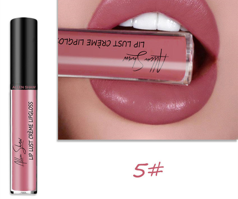 Silky Cream Texture Lip Gloss Aliexpress Shopee Cross-Border Exclusive Lip Glaze Lip Gloss Lipstick - Skin Deep Secrets 