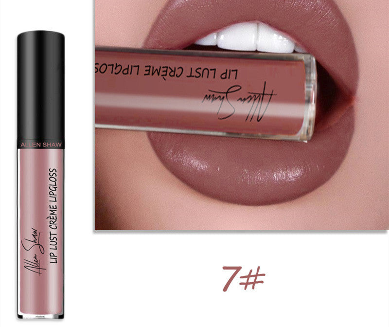 Silky Cream Texture Lip Gloss Aliexpress Shopee Cross-Border Exclusive Lip Glaze Lip Gloss Lipstick - Skin Deep Secrets 