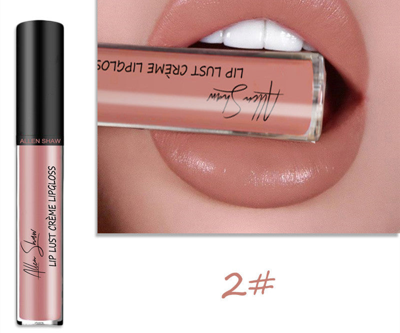 Silky Cream Texture Lip Gloss Aliexpress Shopee Cross-Border Exclusive Lip Glaze Lip Gloss Lipstick - Skin Deep Secrets 